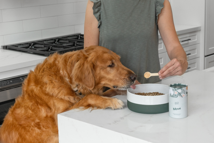 Investors Give Lift to Pet Care Company Front of the Pack
