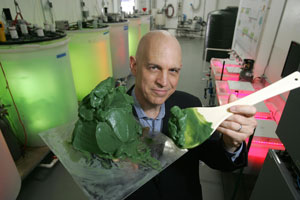 Algae Firm Dives Into Deals but Revenue Trickles In