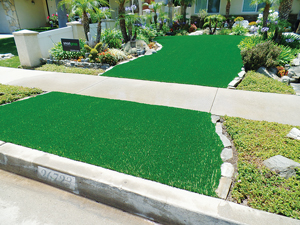 Syntho-Lawns Take Root Amid Water Worries