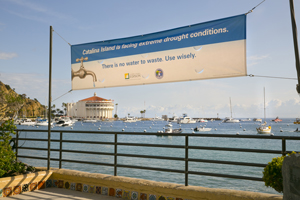Water Worries Circle Catalina