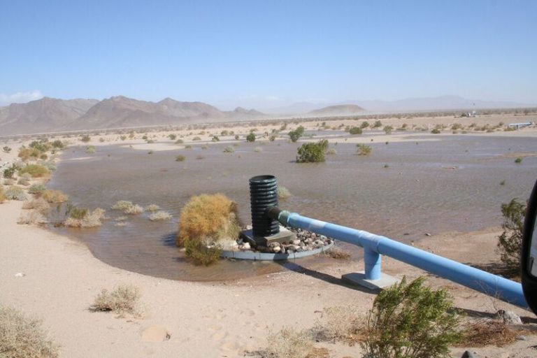 Cadiz Stock Soars 31 Percent After Bill to Stop Water Project Fails