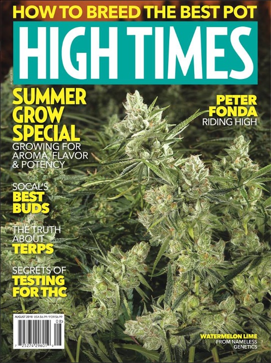 High Times Presses on With Public Offering