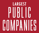 Special Report: Largest Public Companies