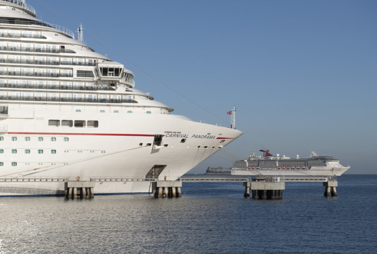 Pain at the Ports as Cruise-Related Businesses Wait Out Pandemic