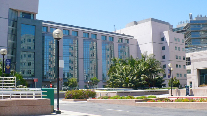 UCLA Cancer Researchers Land $3 Million Grant