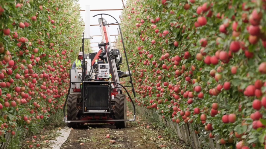 Abundant Robots Aims to Automate Apple Picking