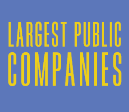 Special Report: Largest Public Companies