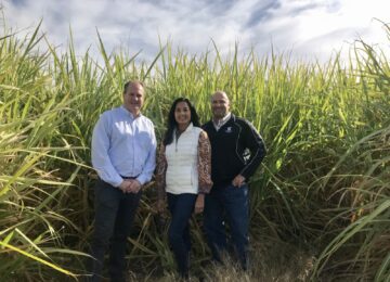 Local Company to Build First Ethanol Plant Using Sugar Cane as Feedstock