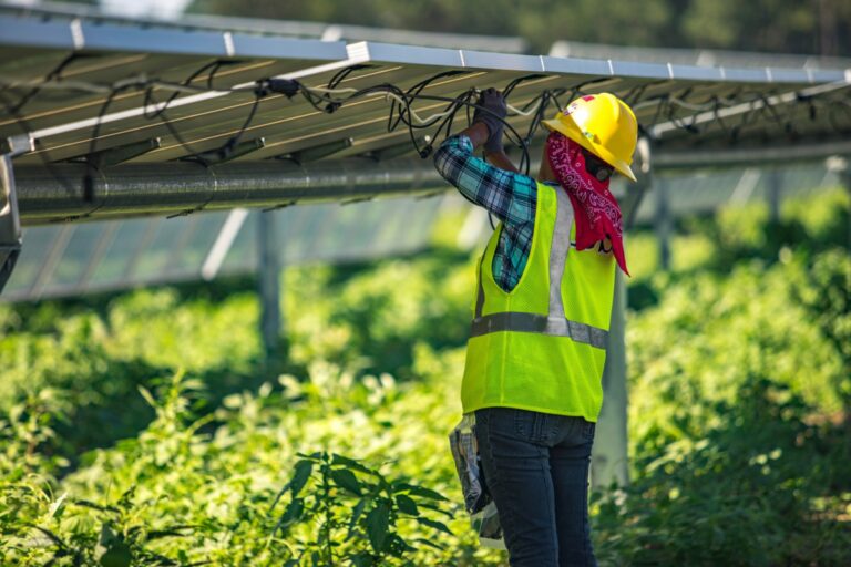 Solar Farm Firm Sells Illinois Projects