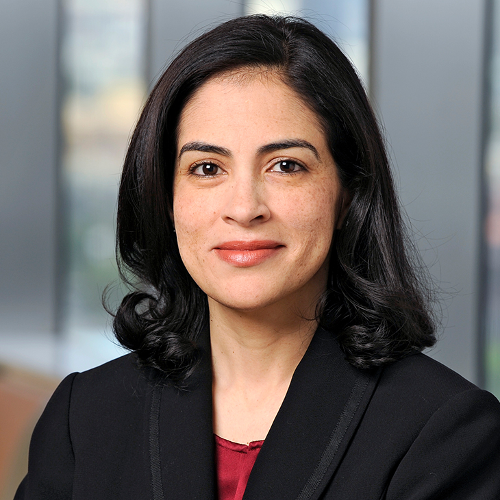 Leaders of Influence: 2023 Minority Attorneys – Ileana Hernandez