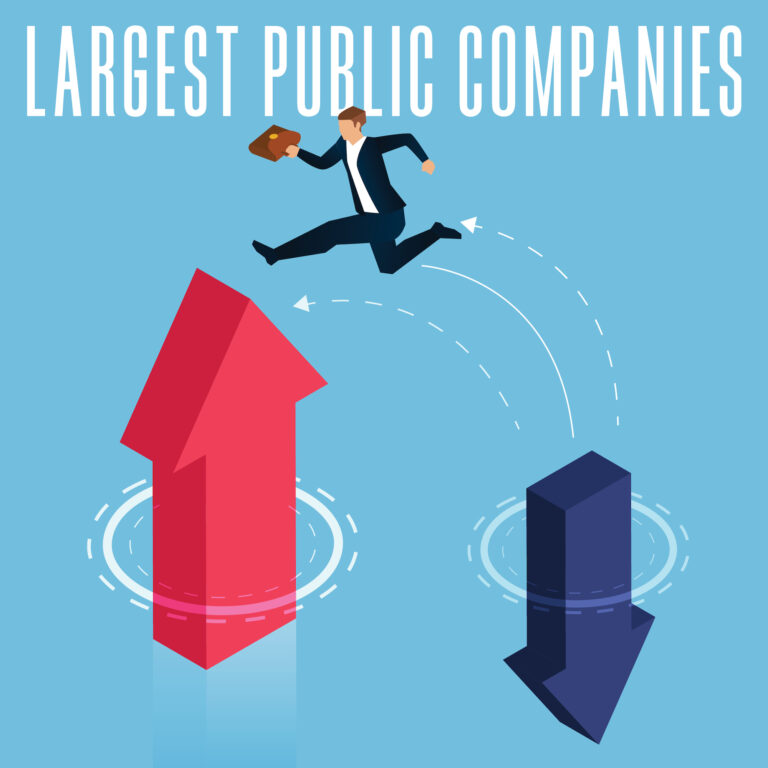 Special Report: Largest Public Companies