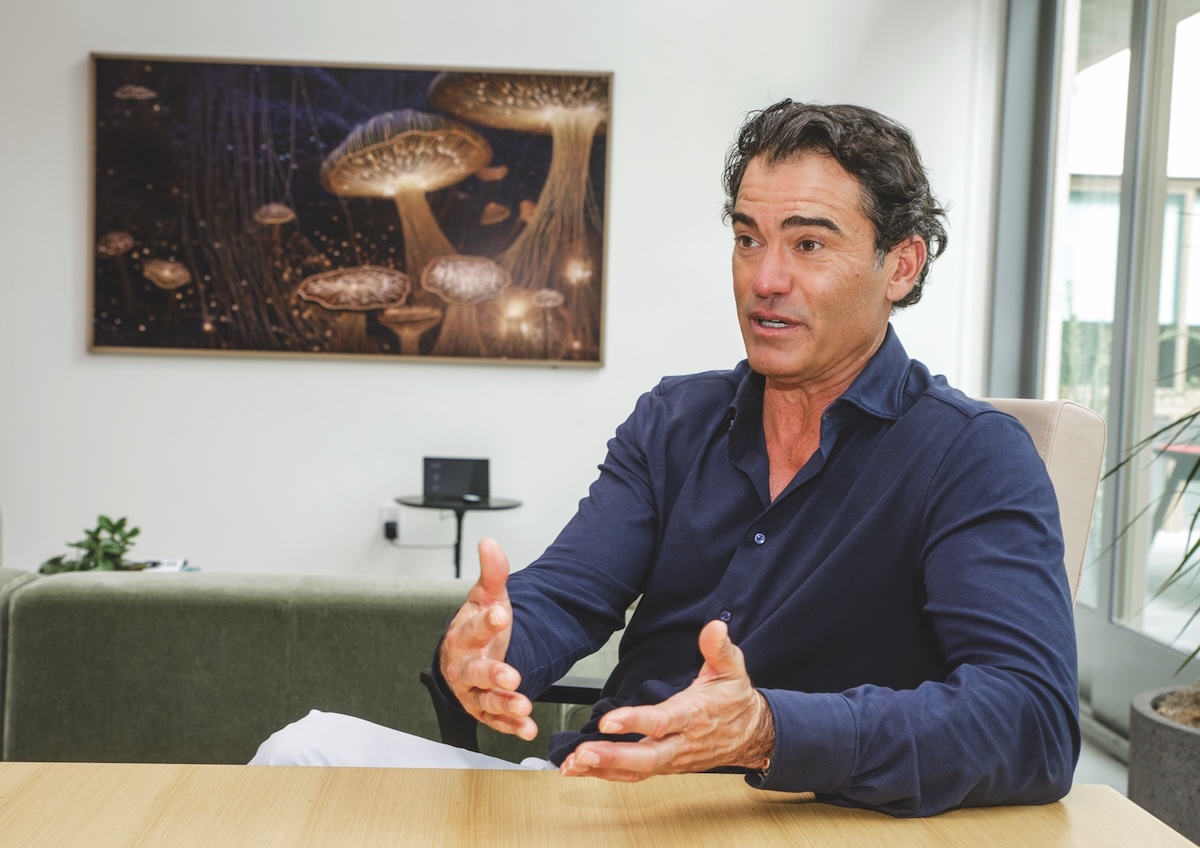 2025 Real Estate Sales Volume Rises