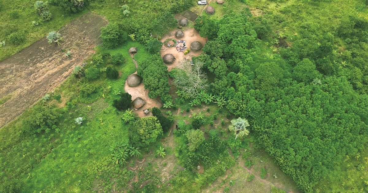 Carbon Markets’ Big Comeback